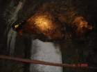 dsc01897_small.jpg