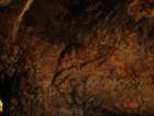 dsc01910_small.jpg