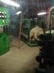 dsc01918_small.jpg