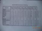 dsc02441_small.jpg