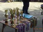 dsc02444_small.jpg