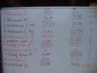 dsc02028_small.jpg