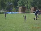dsc01322_small.jpg