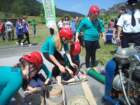 dsc01341_small.jpg