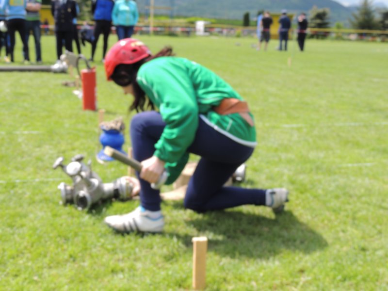 dscn2954.jpg