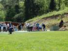 dscn2728_small.jpg