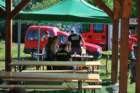 dsc_0019_small.jpg
