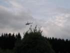 hasisknedeamartin952010_small.jpg