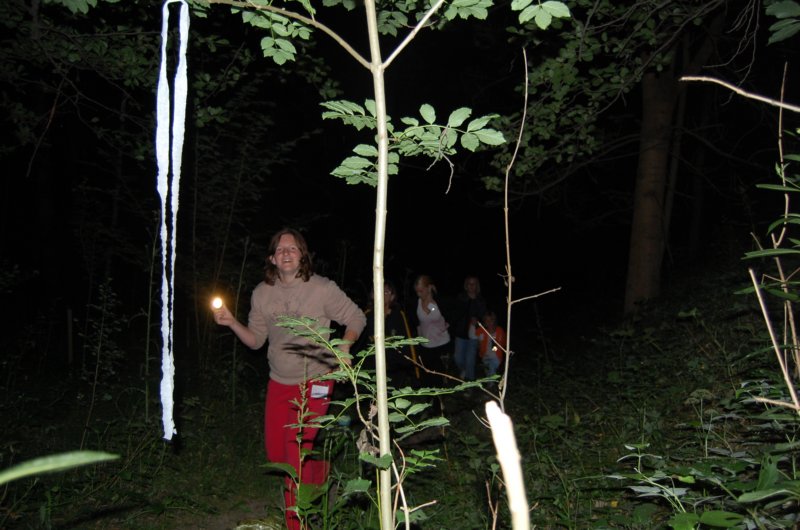 dsc_1256.jpg
